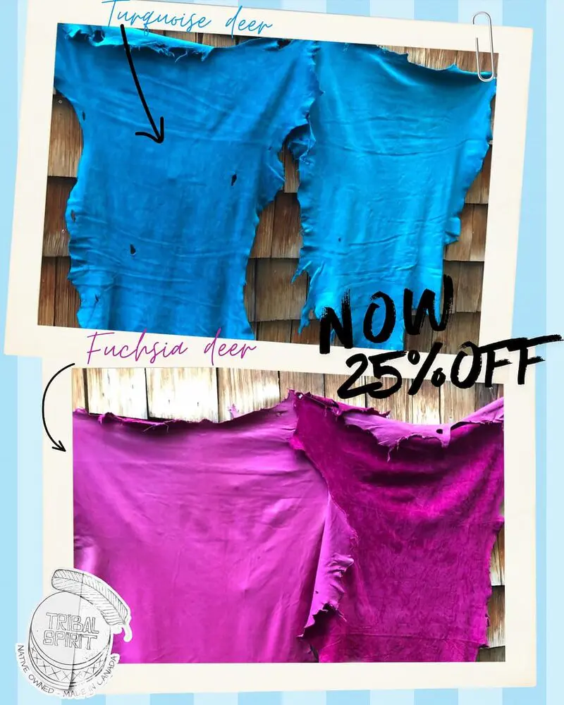 Fuchsia:turquoise 25% off