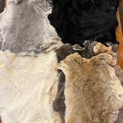 Rabbit Furs