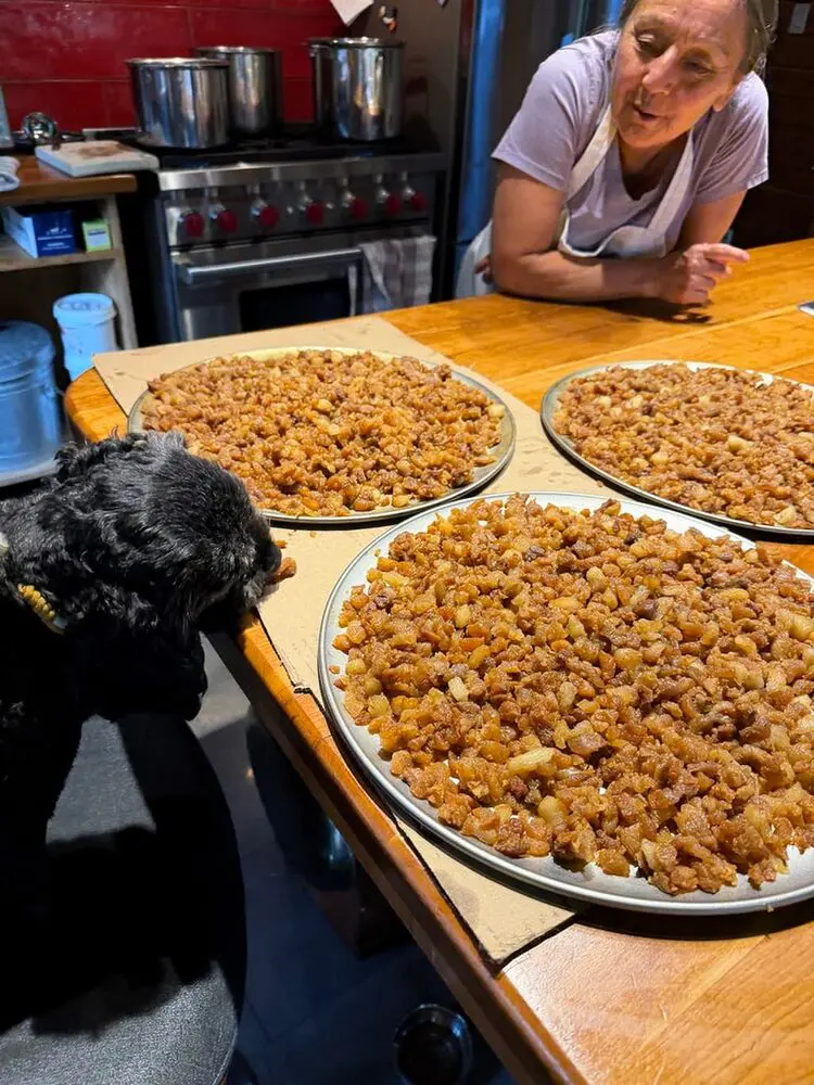 Bear Grease Nuggets for Dogs and apparently CATS AND CHICKENS - Image 3
