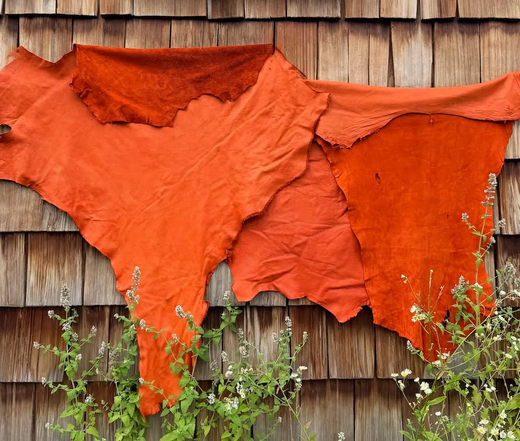 Orange Leather Special T & R Day