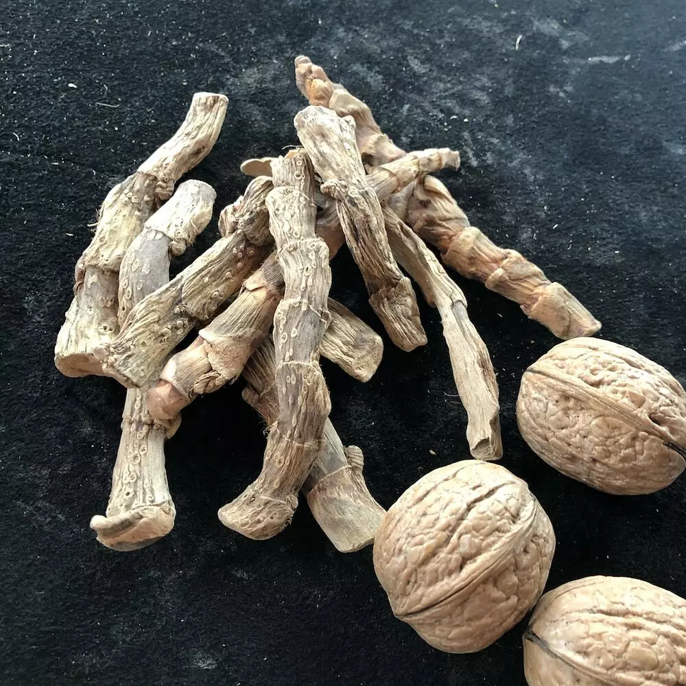 Rat Root (Sweet Flag - Weegas) - Image 3