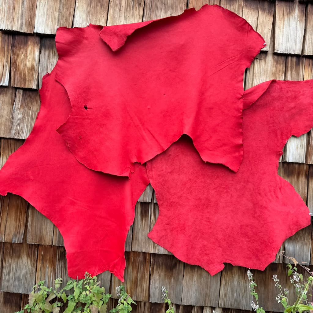 Red Moose