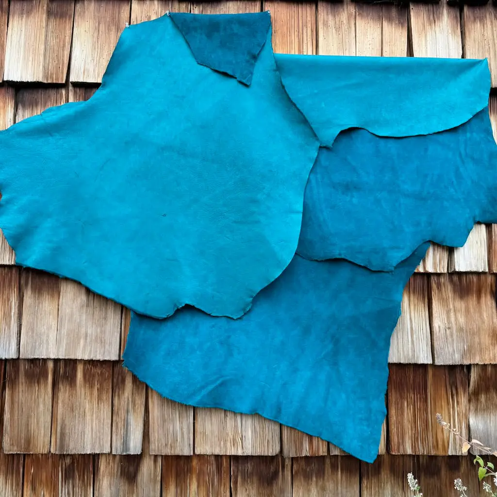 Turquoise Moose Quarters