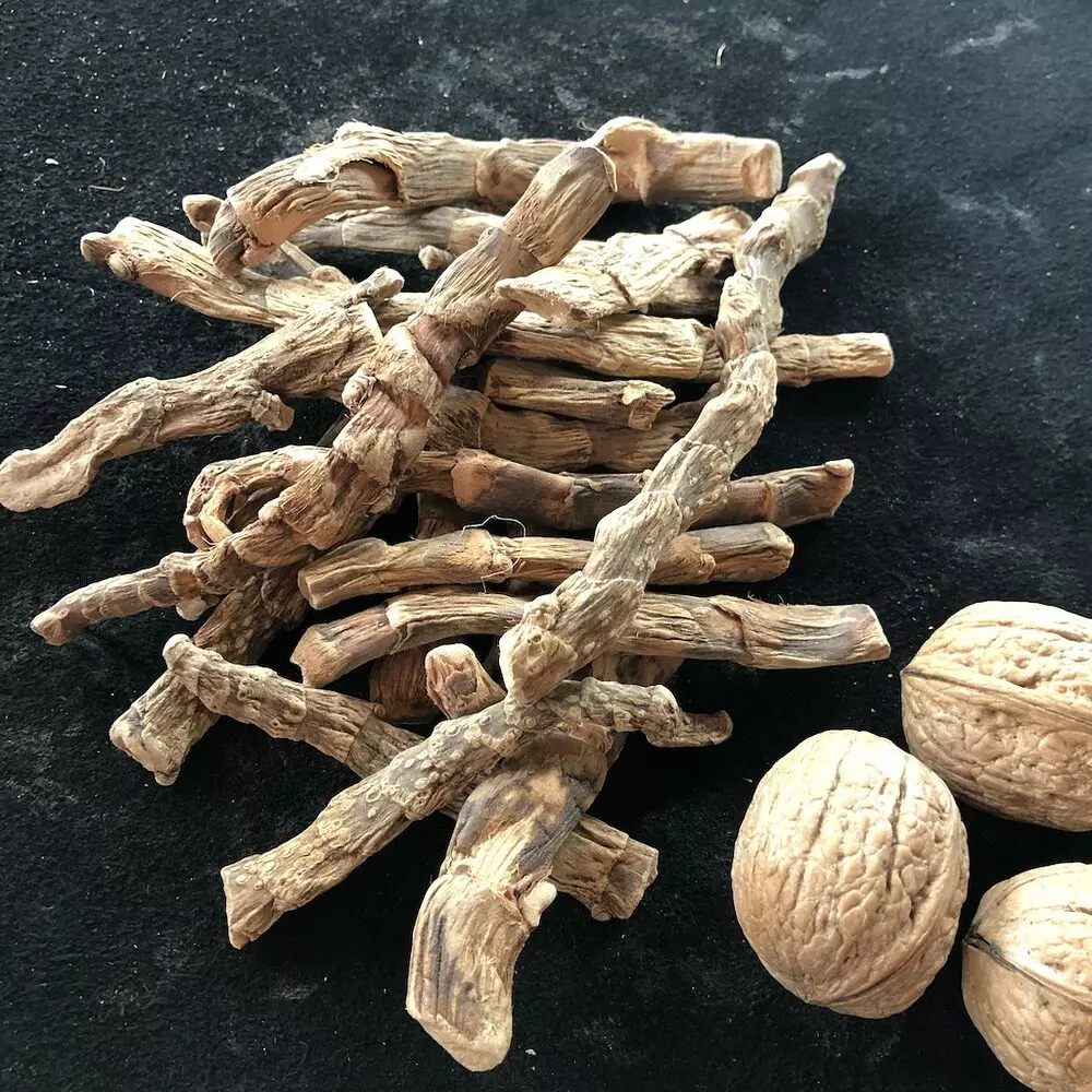 Rat Root (Sweet Flag - Weegas) - Image 2