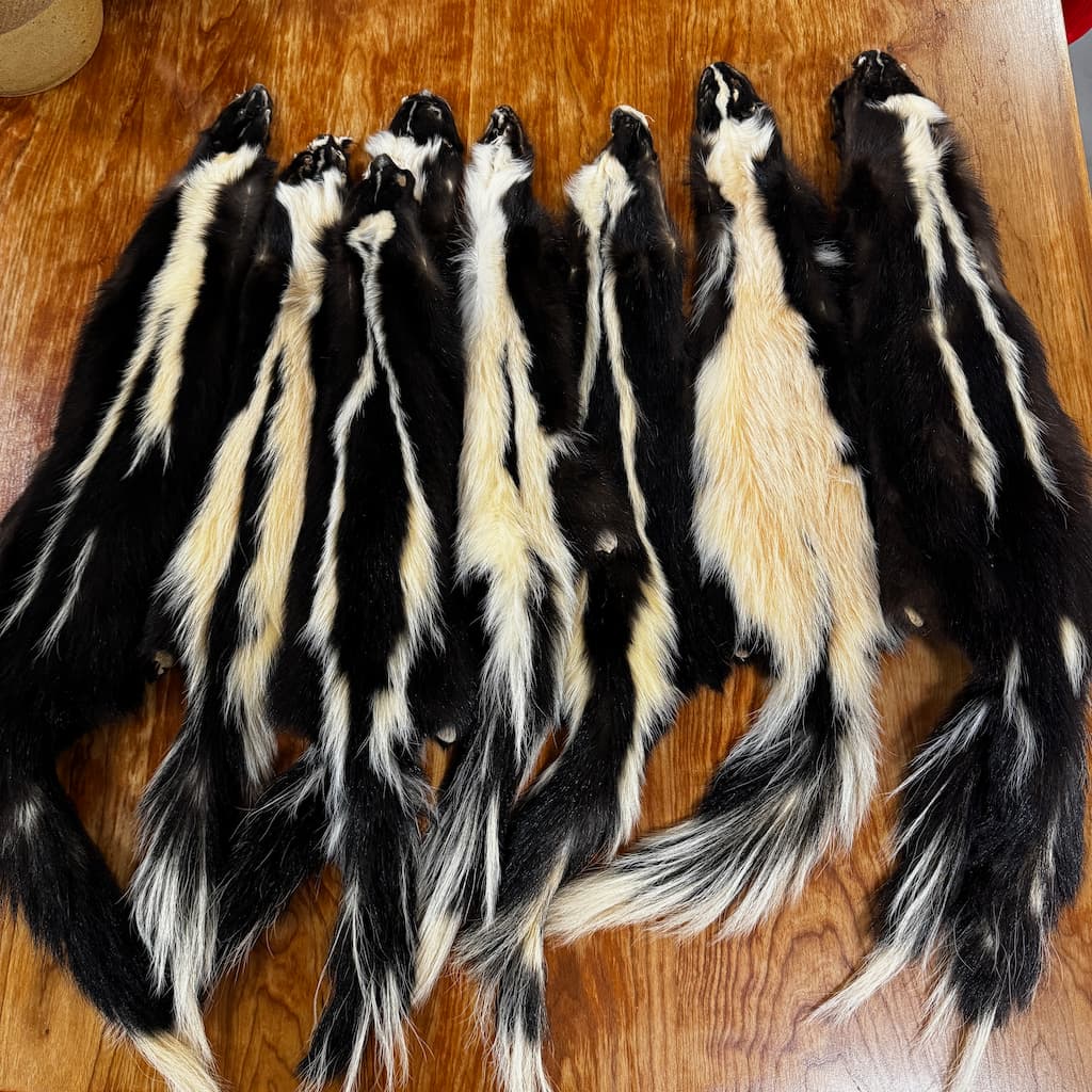 トップス share spirit skunk fur best sheep wool トップス share spirit skunk fur best sheep wool Skunk Fur Trapper