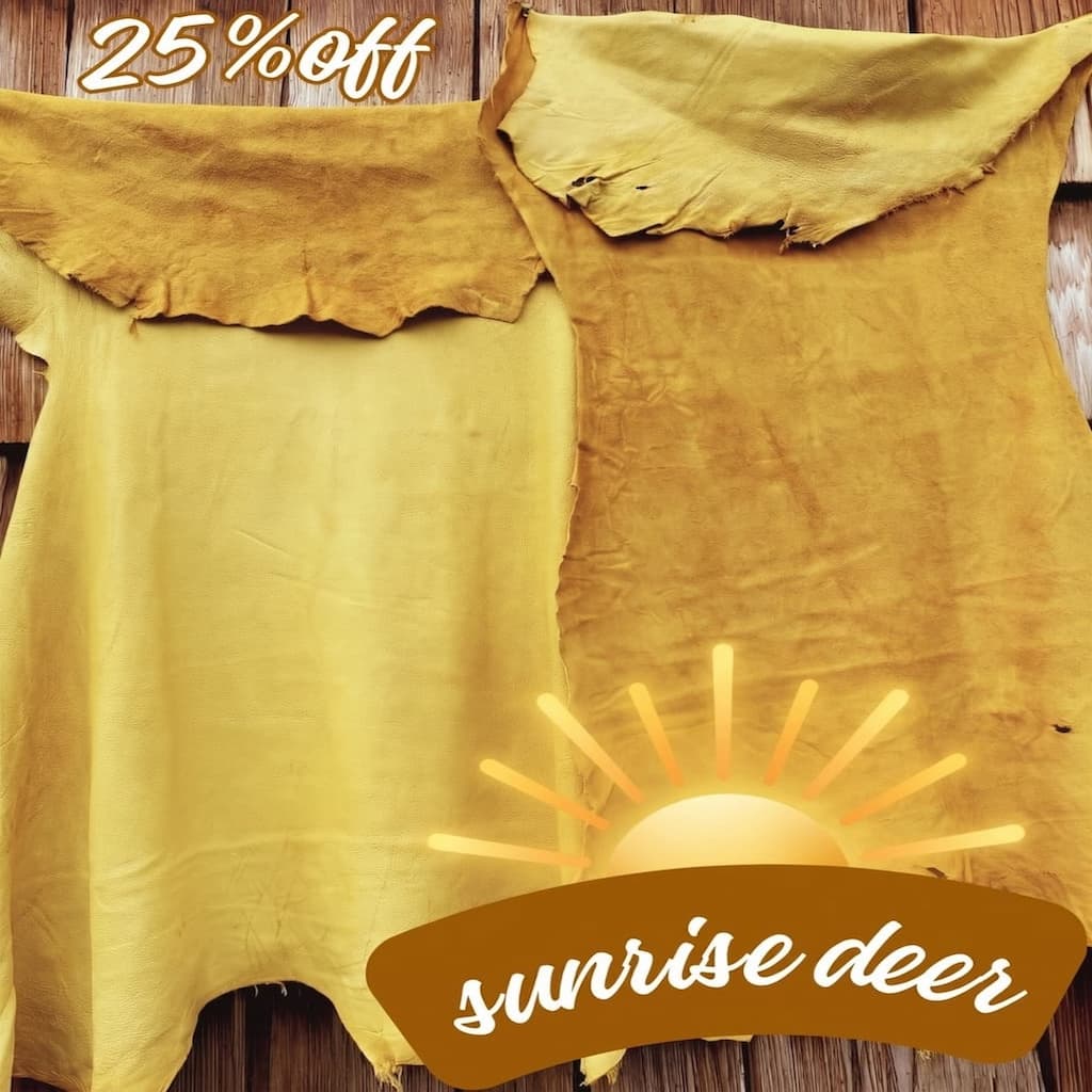 sunrise deer