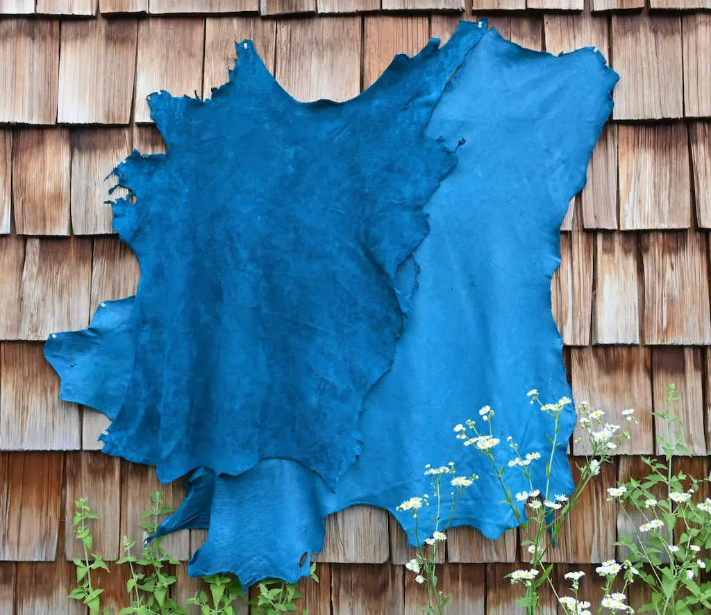 turquoise moose 3