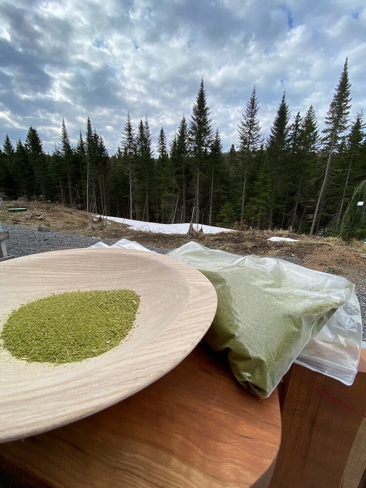 thumbnail image 2 of 6 Ounces Of Dried & Sifted Cedar Leaf – Hand-Harvested From East Arizona 2 of 4