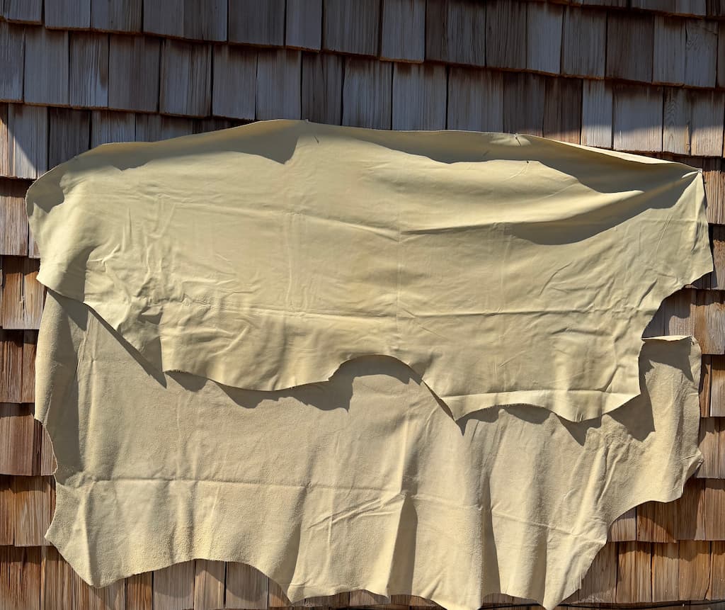 cream cow
