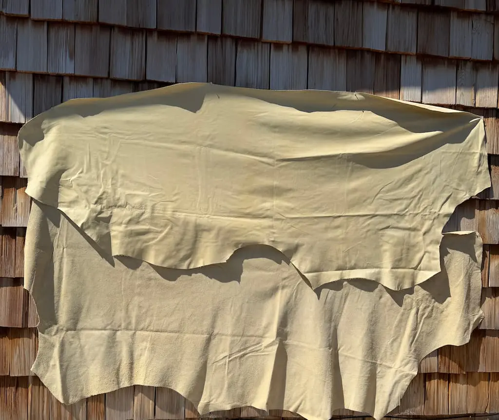 cream cow