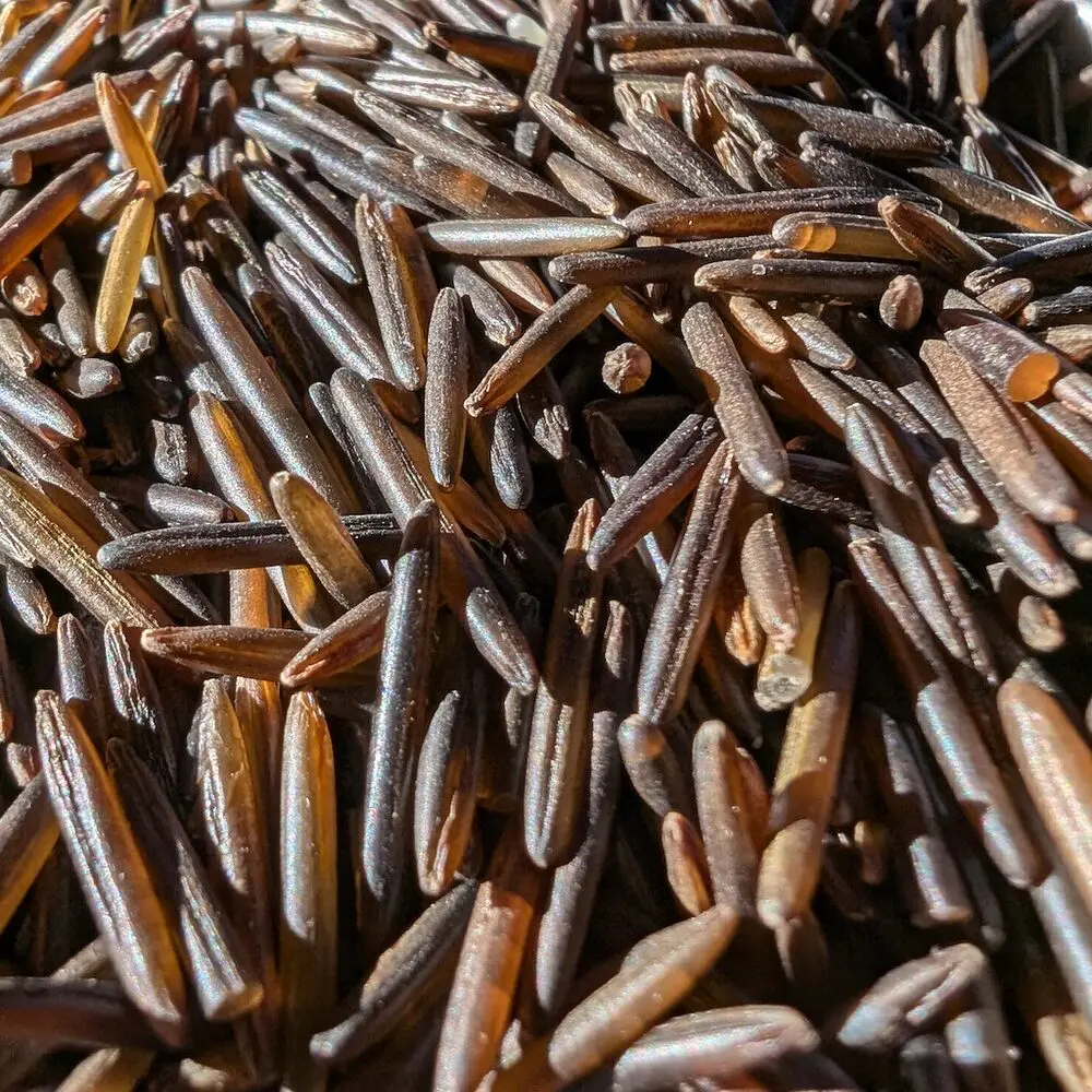 Wild Rice - Image 2