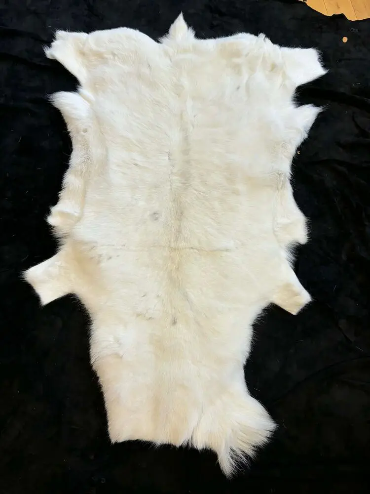 Caribou/Reindeer Hides - Image 2