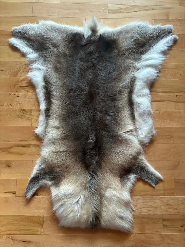 Caribou/Reindeer Hides - Image 4