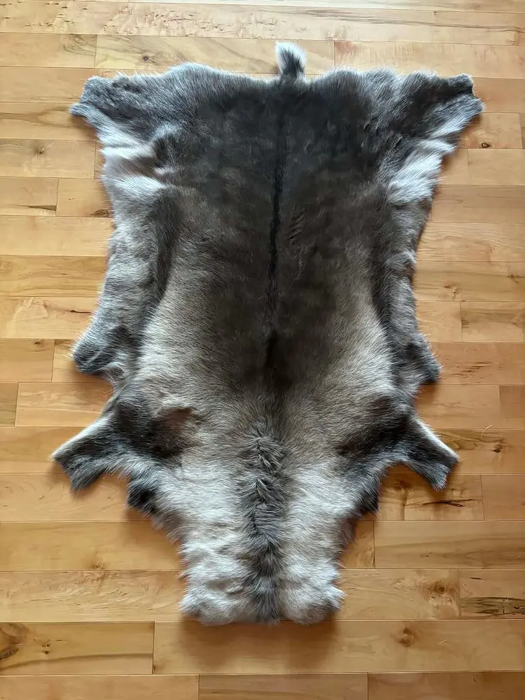 Caribou/Reindeer Hides - Image 5