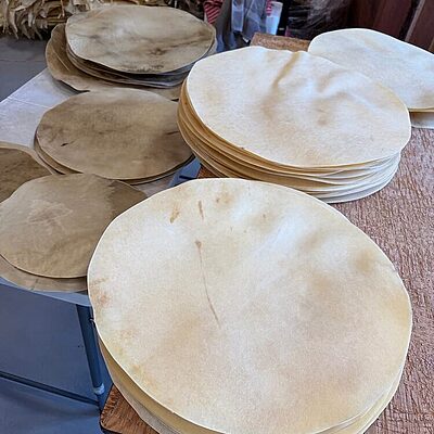 Deer Hide - Circles For Drum Making