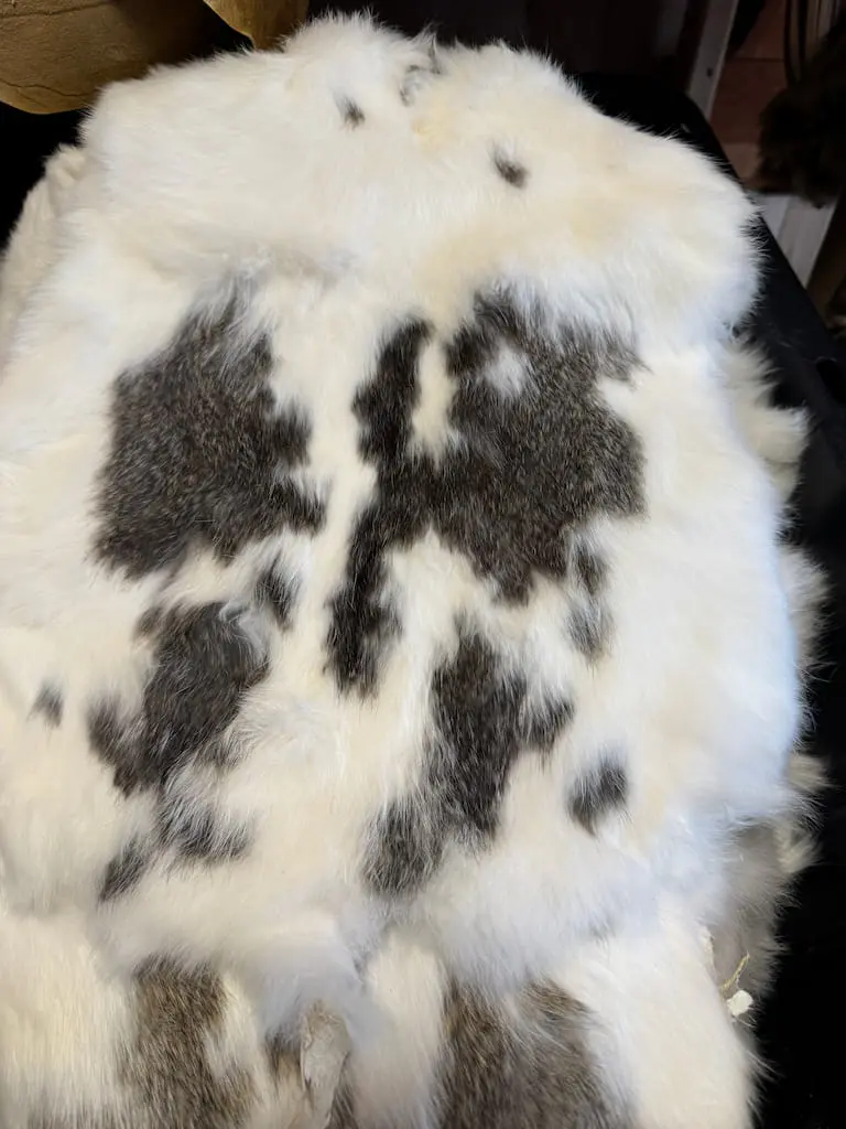Spotted Rabbit Furs - Image 3