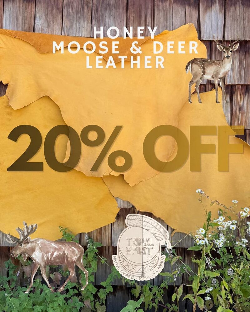 honey deer and moose