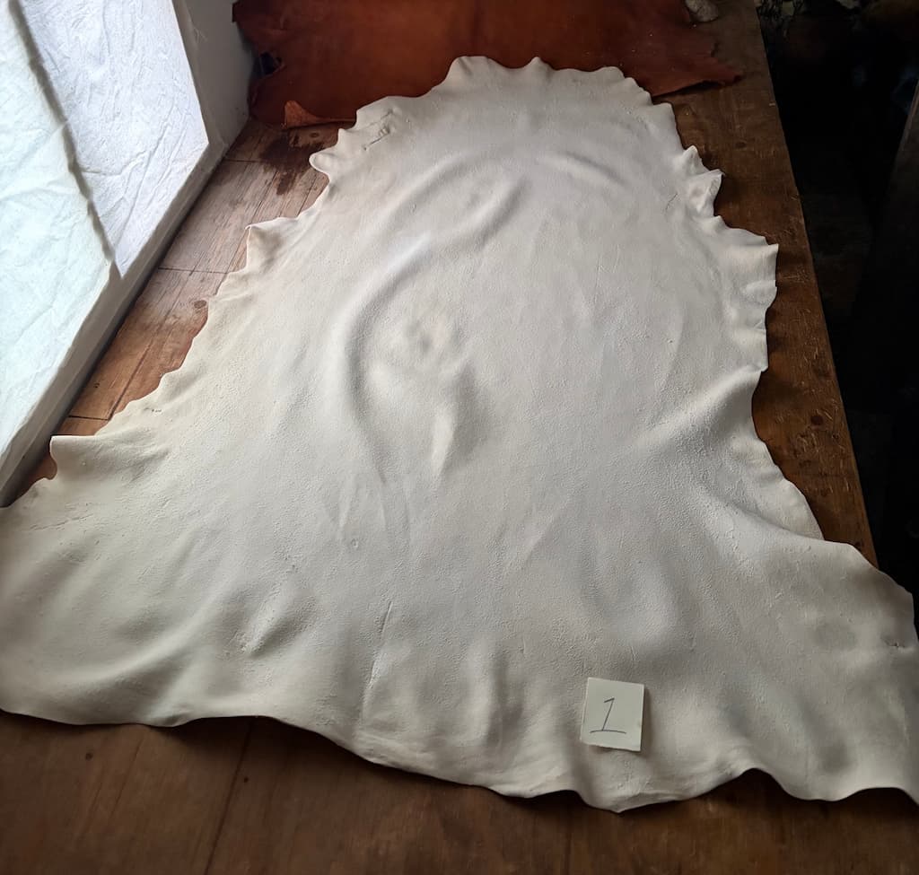 White Brain Tanned 1 (Sept 26)