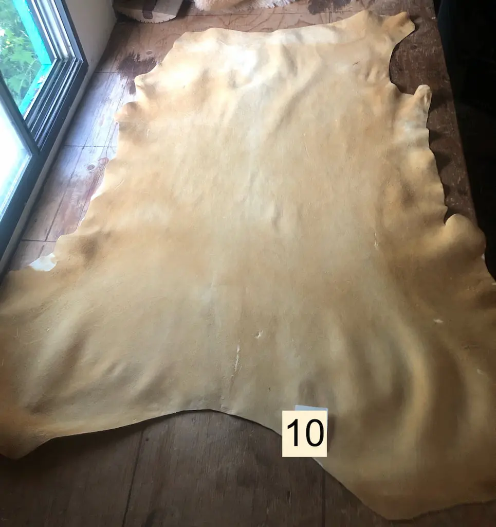 image3 (1) BT10